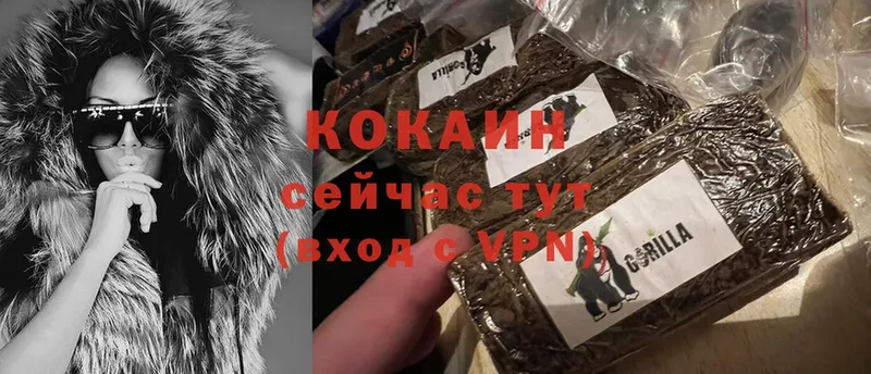 Cocaine Fish Scale  где купить наркотик  Валдай 