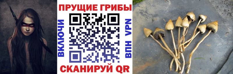 Галлюциногенные грибы мицелий Валдай